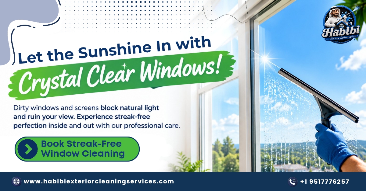 Let the Sunshine In: Professional Streak-Free Window Cleaning
