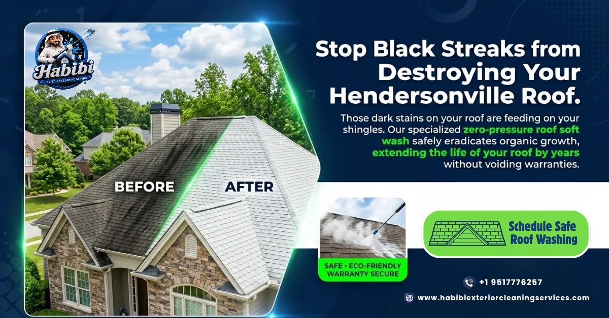 Stop Black Streaks from Destroying Your Hendersonville Roof