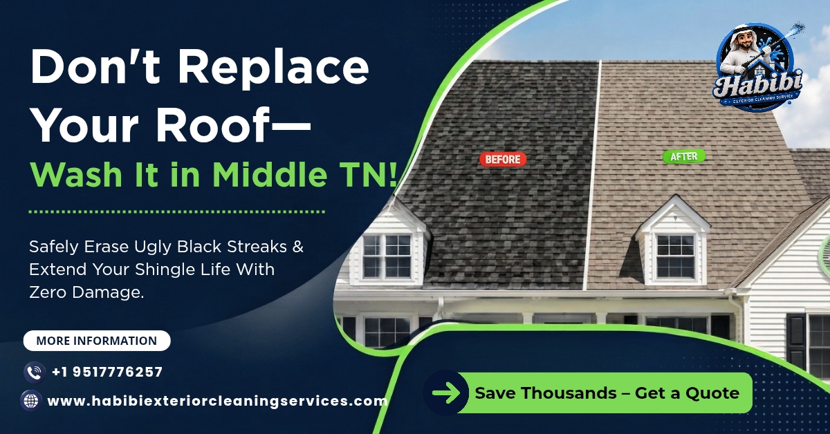 Before and After Roof Washing in Middle TN